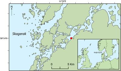 Over 100-Year Preservation and Temporal Fluctuations of Cell Wall Polysaccharides in Marine Sediments